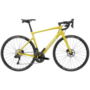 Cannondale Synapse Carbon 2 LE 2024 Yellow Road Bike
